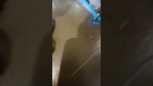 Почему двигатель лифан не заводится (Единичный случай)1-я часть