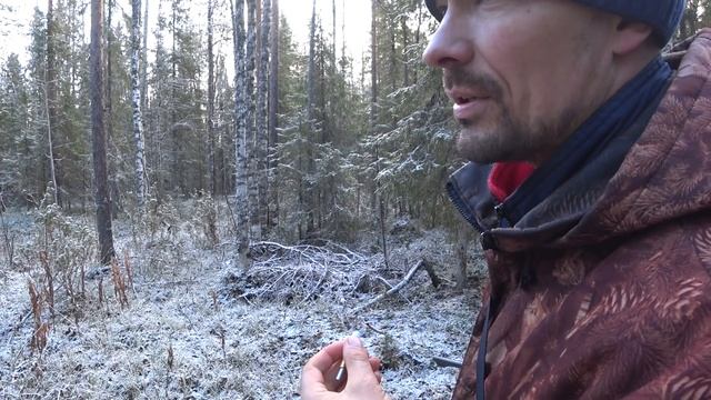 ОХОТА В ТАЙГЕ КОМИ КРАЯ / СЕВЕР / ПЕРВЫЕ ЗАМОРОЗКИ. смотреть онлайн