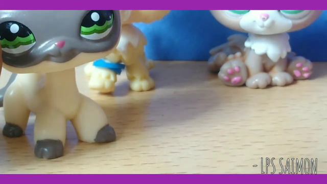 LPS - UNBOXING #4. Распаковка новых петов🍁🐨 смотреть онлайн