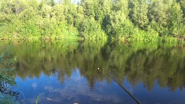 Что стало с рекой. Рыбалка по утру. смотреть онлайн