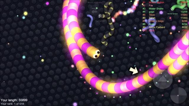 Slither.io Tiny Snake vs Big Pro Snake 1,015,000+ Score (Epic Slitherio Gameplay) смотреть онлайн