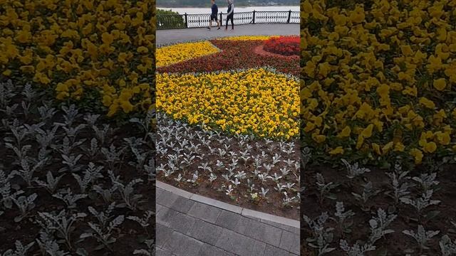 Кусочек Ярославля