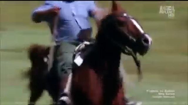Dogo Argentino "Morocho" saves 2 young girls from Puma attack смотреть онлайн