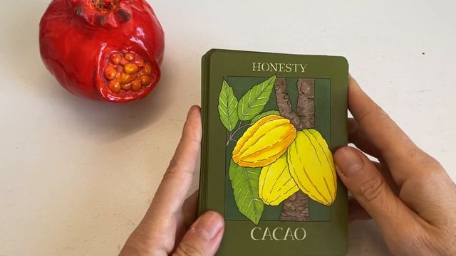 Rainforest Wisdom Oracle #rainforestwisdomoracle #tarotmap #oracledecks смотреть онлайн