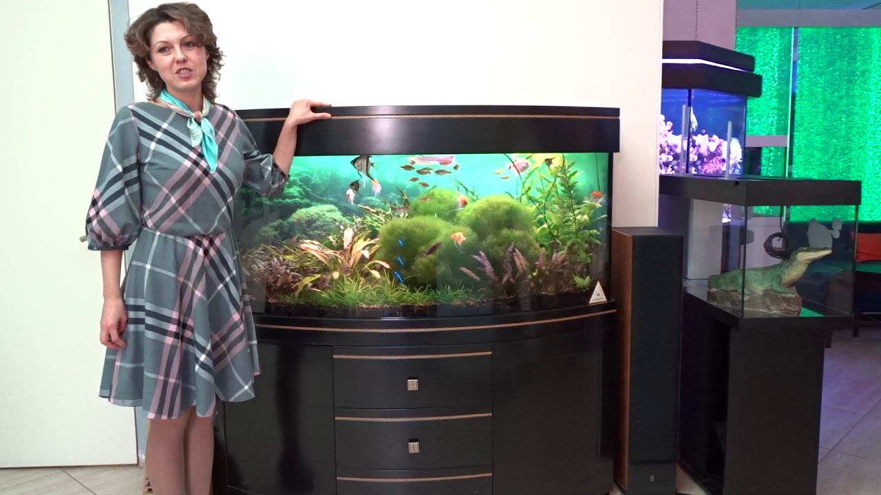#Аквариум с тумбой АДП-470-2А смотреть онлайн