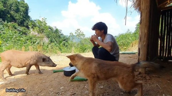 Clean House And Garden Clean, Building Life, Episode 41