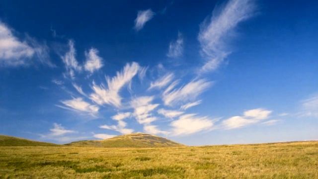 ZEN TAO Relaxing Music - Painting Room - Qi Gong Tai Chi OM Chakra Meditation Relax смотреть онлайн