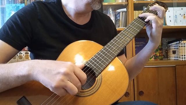 Boulevard Of Broken Dreams-PimaSCHOOL смотреть онлайн