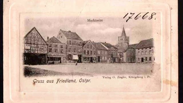 Friedland (Правдинск)