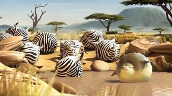 😂😂😂 Rolling wild. Rolling animals