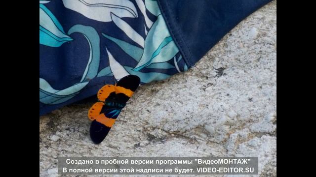 Всем ушедшим в вечный поход посвящается... смотреть онлайн