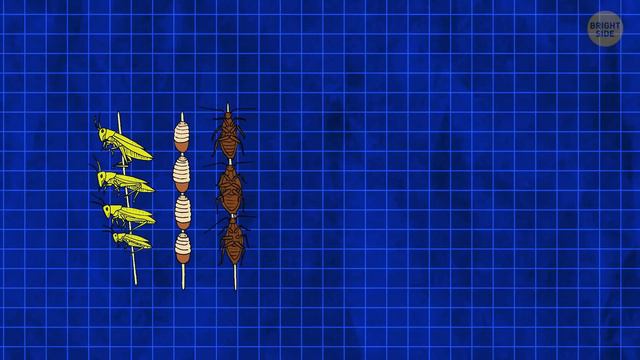 Get Ready to Eat Bugs || The Future of Farming смотреть онлайн