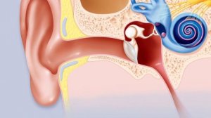 ШУМ В УШАХ и в Голове Пройдет за 5 минут если, Сделать 3 Простых...