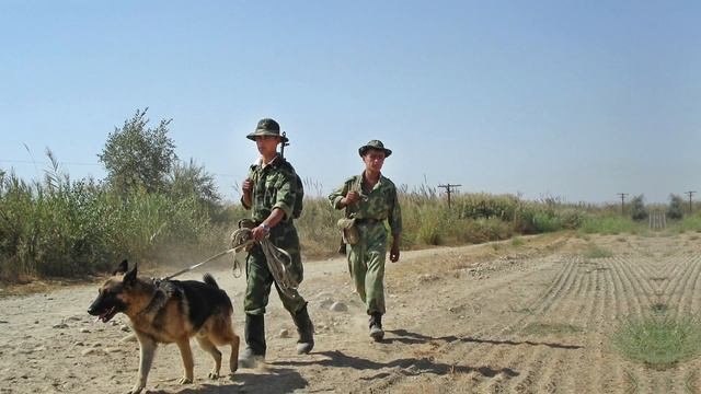 ОДКБ, помощь Таджикистану смотреть онлайн