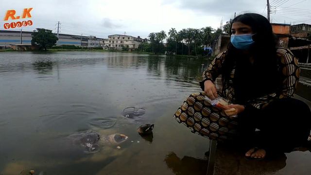 বায়েজিদ বোস্তামীর মাজার নাকি জিনেদের আখড়া ২০২১। Baizid Bustami Mazar Review 2021 смотреть онлайн