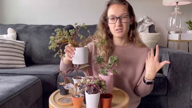 Pink House Picks смотреть онлайн
