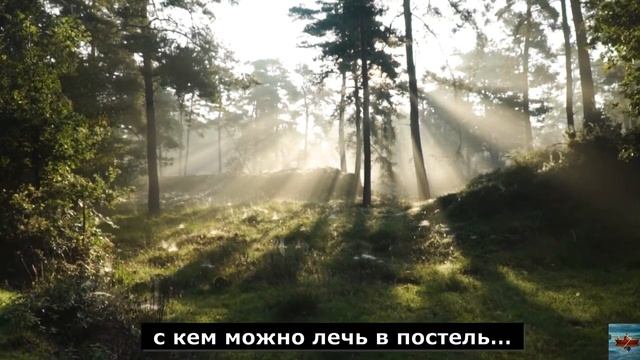 Как много тех, с кем можно лечь в постель смотреть онлайн