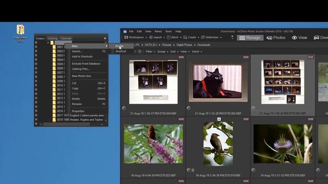 Cataloging colour slides смотреть онлайн