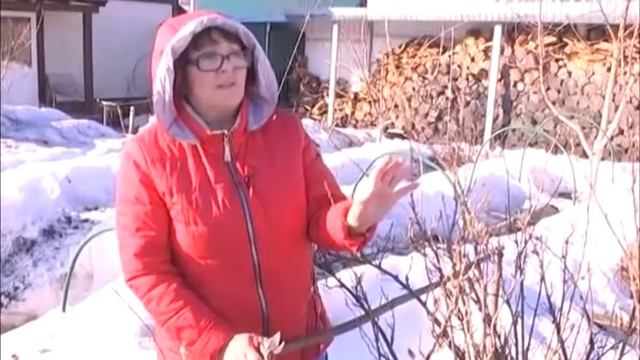 Дачные работы в апреле что делать в саду и огороде по последнему снегу смотреть онлайн