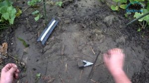 Рыбалка в День РОССИИ. Ловля на донки на Дону..mp4