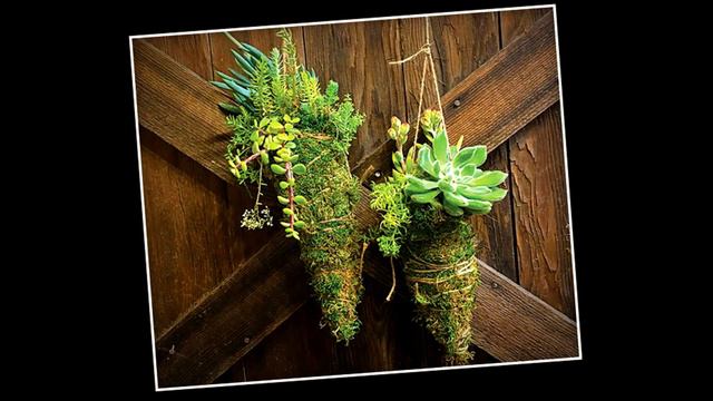 Кокедама Kokedama смотреть онлайн