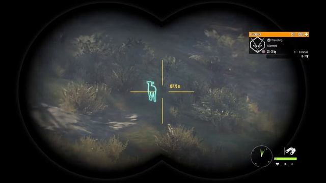 The Hunter: Call Of The Wild, Parque Fernando, Axis Deer hunt #1 DIDN'T EXPECT THAT! смотреть онлайн