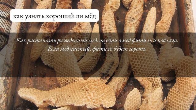 9 необычных кулинарных лайфхаков из Древнего Рима (сборник Марка Апиция) смотреть онлайн