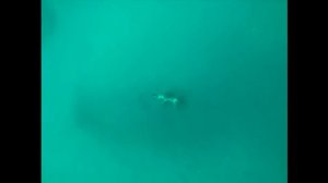 КРЫМ ГУРЗУФ как ловить КРАБОВ / отдых в Крыму