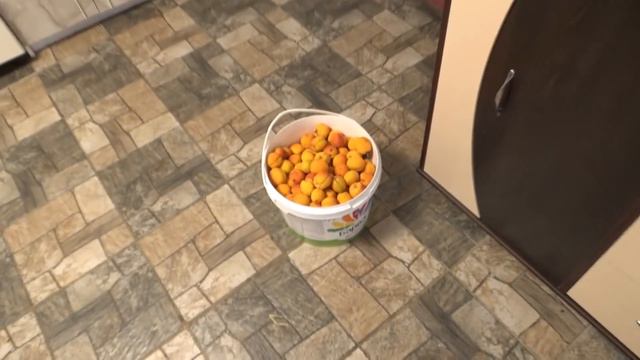 Первый урожай картошки и вечерние посиделки смотреть онлайн