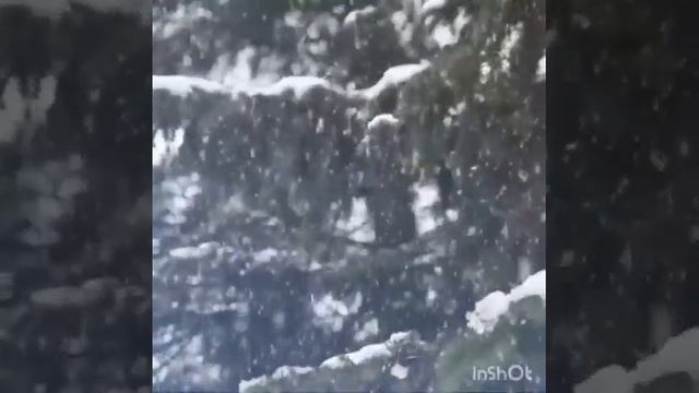 стихотворение про зиму смотреть онлайн