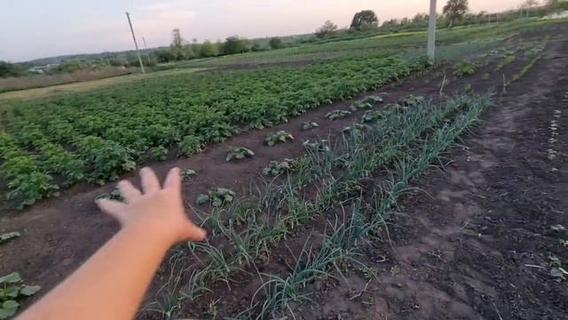 Пашу целый день...Стараюсь поддерживать порядок на участке, Любимый домик у реки! смотреть онлайн