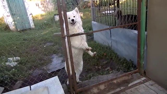 Оливия.1 год.В продаже.Документы ККУ. смотреть онлайн