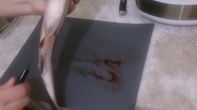 Как выбрать самку горбуши с икрой в магазине и отличить самца от самки. смотреть онлайн