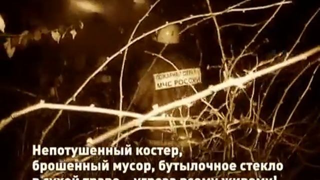 Профилактика лесных пожаров.