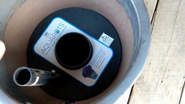 The Secret To Less Watering... AquaPots