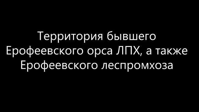Один день из жизни посёлка