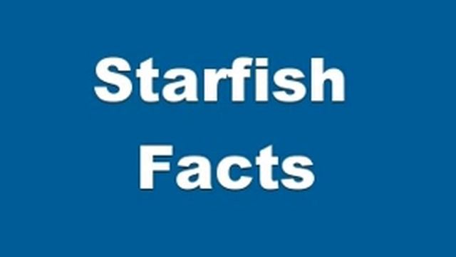 Starfish Facts - Facts About Sea Stars смотреть онлайн
