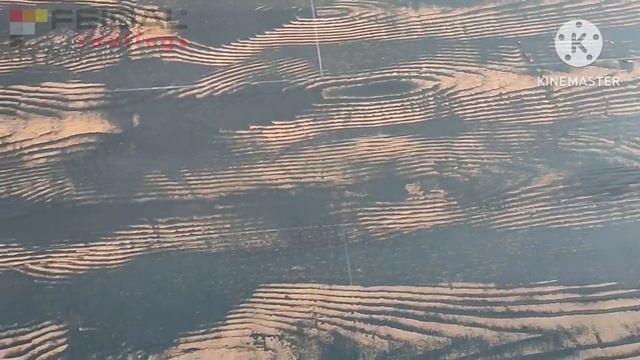 Создаем узор дощатого пола с помощью краски и специального оттиска! Смотри и учись! смотреть онлайн