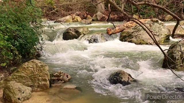 Звуки природы - шум реки и пение птиц Sounds of nature - river and birdsong. OneTime NAP смотреть онлайн