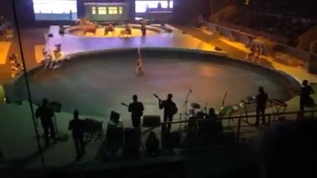 Шоу Братьев Запашных смотреть онлайн