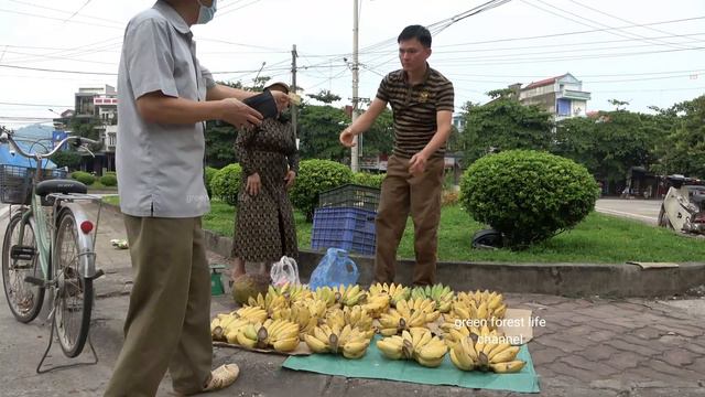 Robert sells bananas in Tuyen Quang city. Robert | Green forest life смотреть онлайн