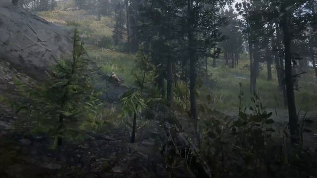 Animal Fights | Red Dead Redemption 2 NPC Wars 40 смотреть онлайн