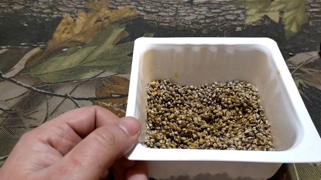 Зерновая перченая добавка в прикормку и спод миксы смотреть онлайн