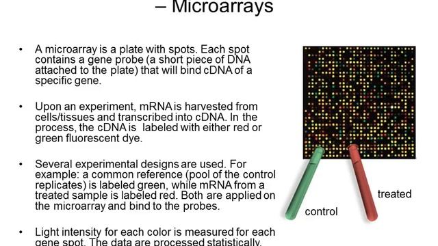A Guide to NCBI: Gene Expression, Part 2 смотреть онлайн