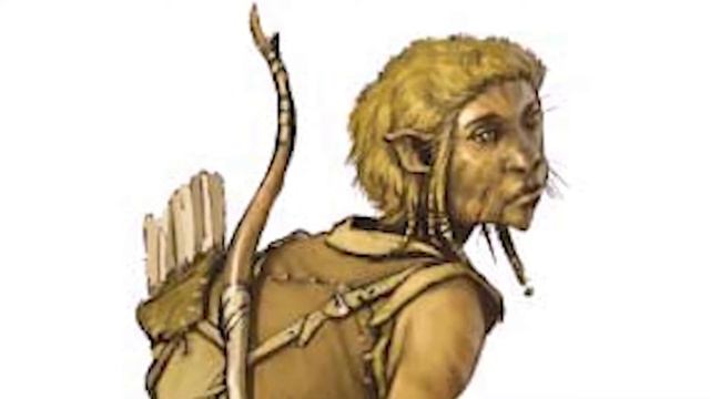 The History of the Tabaxi in D&D - Deep Dive смотреть онлайн