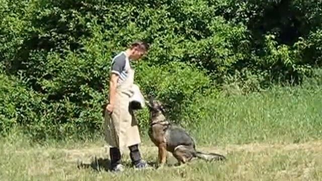 зкс, сдача испытаний смотреть онлайн