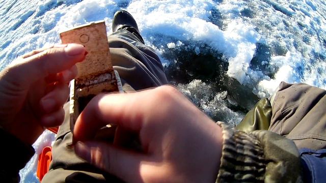 Ловля окуня зимой на мормышку смотреть онлайн