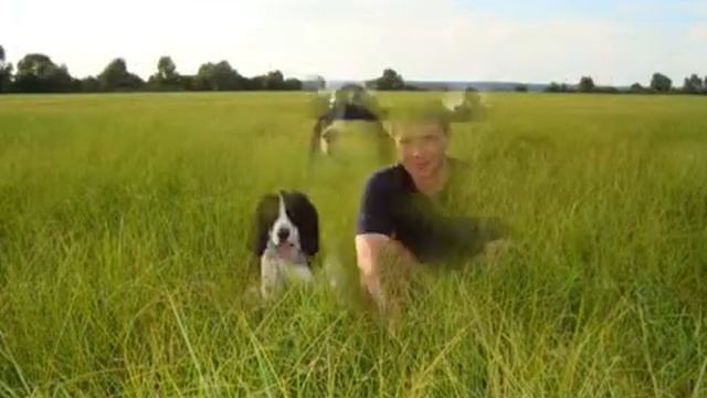 Встреча с друзьями на Сейму смотреть онлайн