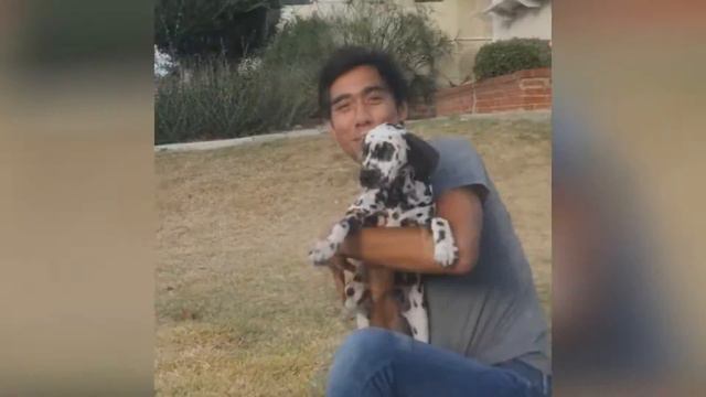 Зак Кинг лучшее за 2015|Zach King's Best Vines from 2015 смотреть онлайн
