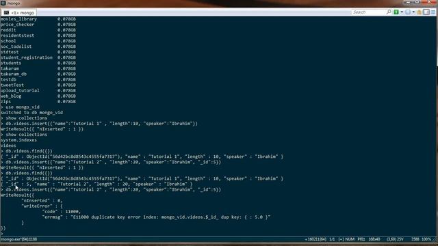 Introduction to MongoDB (FIND, INSERT) смотреть онлайн